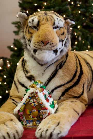 Celebrate Tiger by Will Dickie