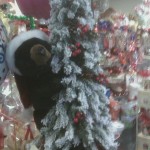 Christmas Black Bear on Flocked Tree